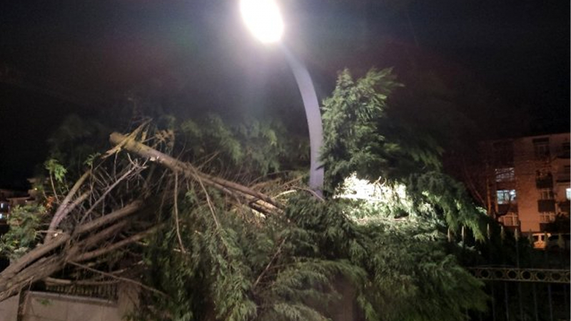 Ankarayı fırtına vurdu, ağaçlar devrildi